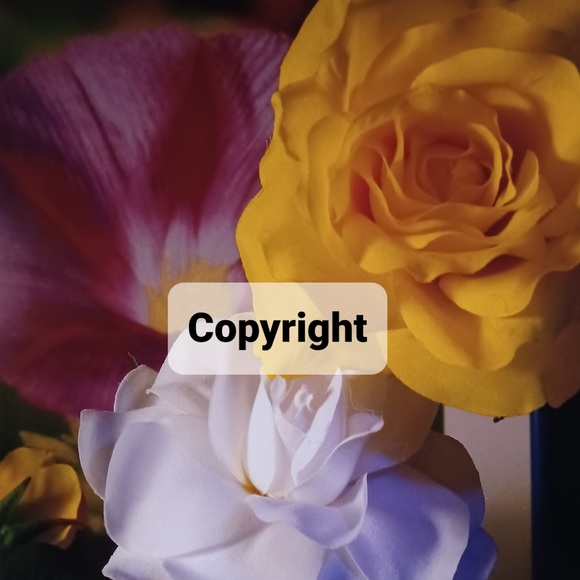 Denise Mari Design Other - Flowers 4 Roses Photo Sale